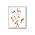 Picture of Dried Lilies  _GroupedProduct_Rectangle_Portrait_Photography _GroupedProduct_Rectangle_Portrait_Framed_Matted_