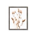 Picture of Dried Lilies  _GroupedProduct_Rectangle_Portrait_Photography _GroupedProduct_Rectangle_Portrait_Framed_Matted_