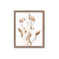 Picture of Dried Lilies  _GroupedProduct_Rectangle_Portrait_Photography _GroupedProduct_Rectangle_Portrait_Framed_Matted_