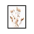 Picture of Dried Lilies  _GroupedProduct_Rectangle_Portrait_Photography _GroupedProduct_Rectangle_Portrait_Framed_Matted_