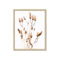 Picture of Dried Lilies  _GroupedProduct_Rectangle_Portrait_Photography _GroupedProduct_Rectangle_Portrait_Framed_Matted_
