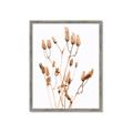 Picture of Dried Lilies  _GroupedProduct_Rectangle_Portrait_Photography _GroupedProduct_Rectangle_Portrait_Framed_Matted_