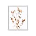 Picture of Dried Lilies  _GroupedProduct_Rectangle_Portrait_Photography _GroupedProduct_Rectangle_Portrait_Framed_Matted_