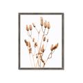 Picture of Dried Lilies  _GroupedProduct_Rectangle_Portrait_Photography _GroupedProduct_Rectangle_Portrait_Framed_Matted_