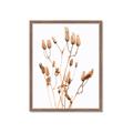 Picture of Dried Lilies  _GroupedProduct_Rectangle_Portrait_Photography _GroupedProduct_Rectangle_Portrait_Framed_Matted_
