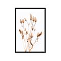 Picture of Dried Lilies  _GroupedProduct_Rectangle_Portrait_Photography _GroupedProduct_Rectangle_Portrait_Framed_Matted_