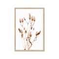 Picture of Dried Lilies  _GroupedProduct_Rectangle_Portrait_Photography _GroupedProduct_Rectangle_Portrait_Framed_Matted_