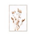 Picture of Dried Lilies  _GroupedProduct_Rectangle_Portrait_Photography _GroupedProduct_Rectangle_Portrait_Framed_Matted_