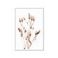 Picture of Dried Lilies  _GroupedProduct_Rectangle_Portrait_Photography _GroupedProduct_Rectangle_Portrait_Framed_Matted_