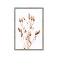 Picture of Dried Lilies  _GroupedProduct_Rectangle_Portrait_Photography _GroupedProduct_Rectangle_Portrait_Framed_Matted_
