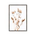 Picture of Dried Lilies  _GroupedProduct_Rectangle_Portrait_Photography _GroupedProduct_Rectangle_Portrait_Framed_Matted_