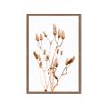 Picture of Dried Lilies  _GroupedProduct_Rectangle_Portrait_Photography _GroupedProduct_Rectangle_Portrait_Framed_Matted_