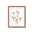Picture of Dried Lilies  _GroupedProduct_Rectangle_Portrait_Photography _GroupedProduct_Rectangle_Portrait_Framed_Matted_