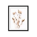 Picture of Dried Lilies  _GroupedProduct_Rectangle_Portrait_Photography _GroupedProduct_Rectangle_Portrait_Framed_Matted_