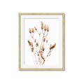 Picture of Dried Lilies  _GroupedProduct_Rectangle_Portrait_Photography _GroupedProduct_Rectangle_Portrait_Framed_Matted_