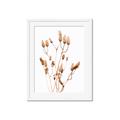 Picture of Dried Lilies  _GroupedProduct_Rectangle_Portrait_Photography _GroupedProduct_Rectangle_Portrait_Framed_Matted_