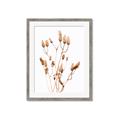 Picture of Dried Lilies  _GroupedProduct_Rectangle_Portrait_Photography _GroupedProduct_Rectangle_Portrait_Framed_Matted_