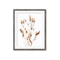 Picture of Dried Lilies  _GroupedProduct_Rectangle_Portrait_Photography _GroupedProduct_Rectangle_Portrait_Framed_Matted_