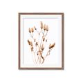 Picture of Dried Lilies  _GroupedProduct_Rectangle_Portrait_Photography _GroupedProduct_Rectangle_Portrait_Framed_Matted_
