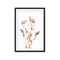 Picture of Dried Lilies  _GroupedProduct_Rectangle_Portrait_Photography _GroupedProduct_Rectangle_Portrait_Framed_Matted_