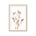 Picture of Dried Lilies  _GroupedProduct_Rectangle_Portrait_Photography _GroupedProduct_Rectangle_Portrait_Framed_Matted_