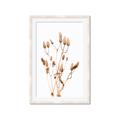 Picture of Dried Lilies  _GroupedProduct_Rectangle_Portrait_Photography _GroupedProduct_Rectangle_Portrait_Framed_Matted_