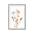 Picture of Dried Lilies  _GroupedProduct_Rectangle_Portrait_Photography _GroupedProduct_Rectangle_Portrait_Framed_Matted_