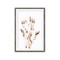 Picture of Dried Lilies  _GroupedProduct_Rectangle_Portrait_Photography _GroupedProduct_Rectangle_Portrait_Framed_Matted_