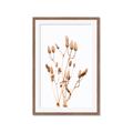 Picture of Dried Lilies  _GroupedProduct_Rectangle_Portrait_Photography _GroupedProduct_Rectangle_Portrait_Framed_Matted_