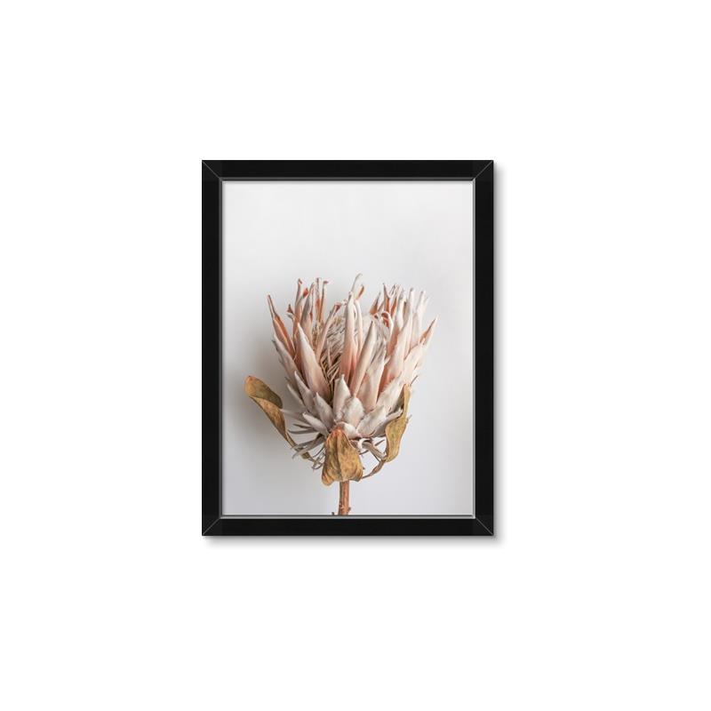 Picture of Soft Pink _GroupedProduct_Rectangle_Portrait_Photography _GroupedProduct_Rectangle_Portrait_Framed_Matted_