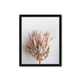 Picture of Soft Pink _GroupedProduct_Rectangle_Portrait_Photography _GroupedProduct_Rectangle_Portrait_Framed_Matted_