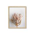 Picture of Soft Pink _GroupedProduct_Rectangle_Portrait_Photography _GroupedProduct_Rectangle_Portrait_Framed_Matted_
