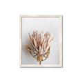 Picture of Soft Pink _GroupedProduct_Rectangle_Portrait_Photography _GroupedProduct_Rectangle_Portrait_Framed_Matted_