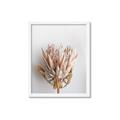 Picture of Soft Pink _GroupedProduct_Rectangle_Portrait_Photography _GroupedProduct_Rectangle_Portrait_Framed_Matted_