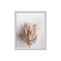 Picture of Soft Pink _GroupedProduct_Rectangle_Portrait_Photography _GroupedProduct_Rectangle_Portrait_Framed_Matted_