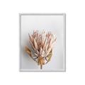Picture of Soft Pink _GroupedProduct_Rectangle_Portrait_Photography _GroupedProduct_Rectangle_Portrait_Framed_Matted_