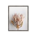 Picture of Soft Pink _GroupedProduct_Rectangle_Portrait_Photography _GroupedProduct_Rectangle_Portrait_Framed_Matted_