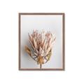 Picture of Soft Pink _GroupedProduct_Rectangle_Portrait_Photography _GroupedProduct_Rectangle_Portrait_Framed_Matted_