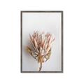 Picture of Soft Pink _GroupedProduct_Rectangle_Portrait_Photography _GroupedProduct_Rectangle_Portrait_Framed_Matted_