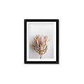 Picture of Soft Pink _GroupedProduct_Rectangle_Portrait_Photography _GroupedProduct_Rectangle_Portrait_Framed_Matted_