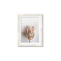 Picture of Soft Pink _GroupedProduct_Rectangle_Portrait_Photography _GroupedProduct_Rectangle_Portrait_Framed_Matted_