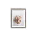 Picture of Soft Pink _GroupedProduct_Rectangle_Portrait_Photography _GroupedProduct_Rectangle_Portrait_Framed_Matted_