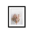 Picture of Soft Pink _GroupedProduct_Rectangle_Portrait_Photography _GroupedProduct_Rectangle_Portrait_Framed_Matted_