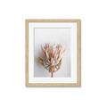 Picture of Soft Pink _GroupedProduct_Rectangle_Portrait_Photography _GroupedProduct_Rectangle_Portrait_Framed_Matted_