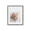 Picture of Soft Pink _GroupedProduct_Rectangle_Portrait_Photography _GroupedProduct_Rectangle_Portrait_Framed_Matted_
