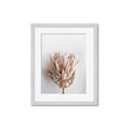 Picture of Soft Pink _GroupedProduct_Rectangle_Portrait_Photography _GroupedProduct_Rectangle_Portrait_Framed_Matted_