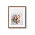 Picture of Soft Pink _GroupedProduct_Rectangle_Portrait_Photography _GroupedProduct_Rectangle_Portrait_Framed_Matted_