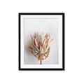 Picture of Soft Pink _GroupedProduct_Rectangle_Portrait_Photography _GroupedProduct_Rectangle_Portrait_Framed_Matted_