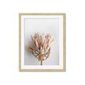 Picture of Soft Pink _GroupedProduct_Rectangle_Portrait_Photography _GroupedProduct_Rectangle_Portrait_Framed_Matted_