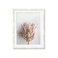 Picture of Soft Pink _GroupedProduct_Rectangle_Portrait_Photography _GroupedProduct_Rectangle_Portrait_Framed_Matted_